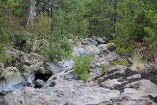 rrente Quarantore-05-08-2015 17-25-07